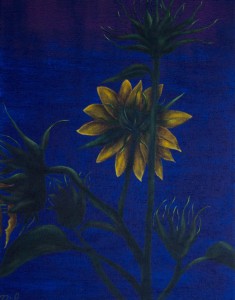 Dark sunflowers Blue